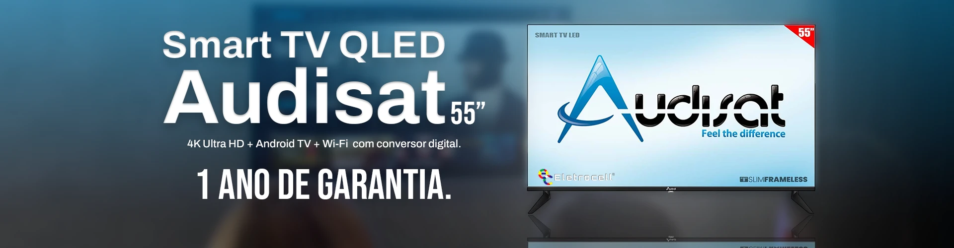 TV AUDISAT